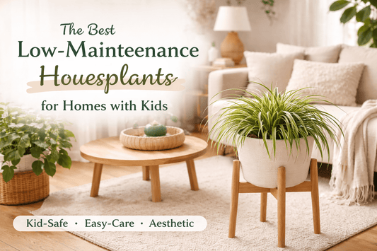The Best Low-Maintenance Houseplants for Homes with Kids - Simplicity Home Living