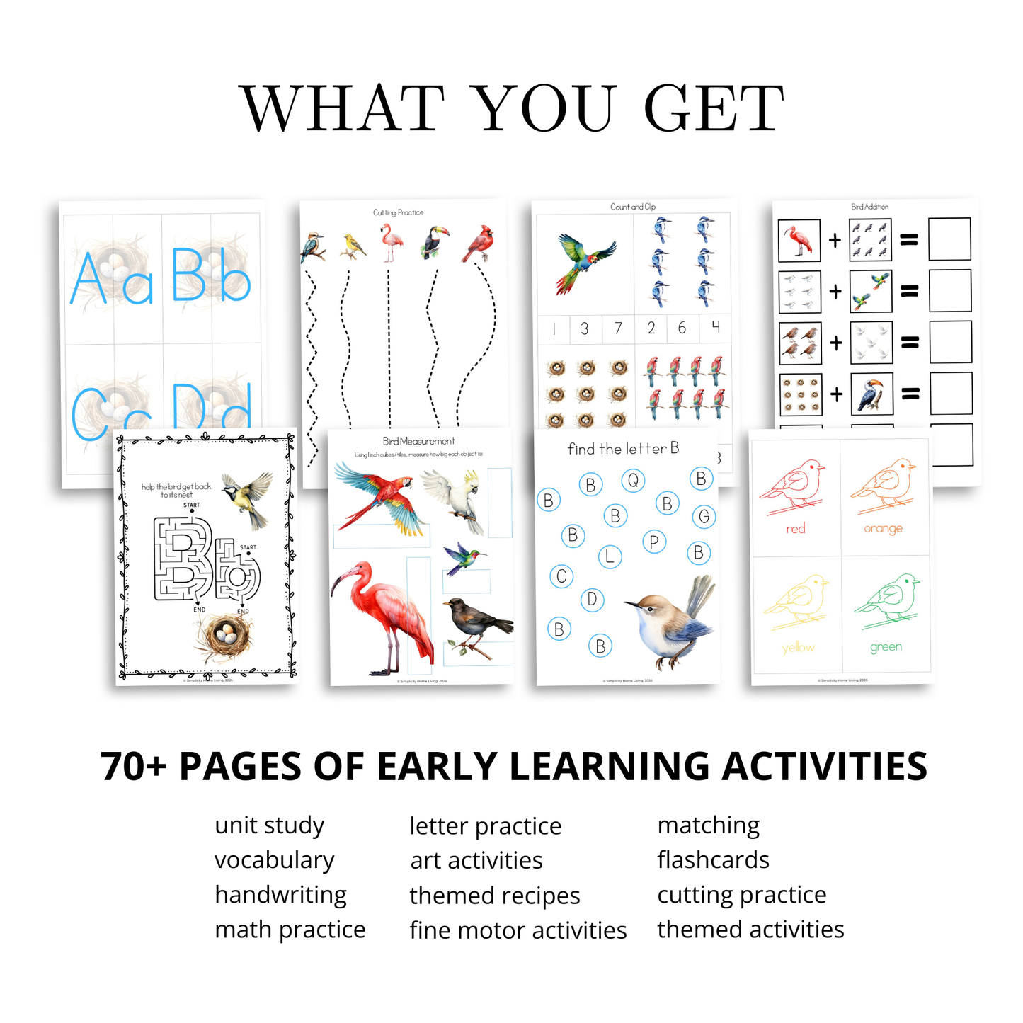 B Is for Bird Alphabet Unit Study | 77-Page Printable Early Learning Unit