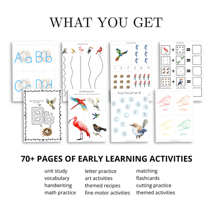 B Is for Bird Alphabet Unit Study | 77-Page Printable Early Learning Unit