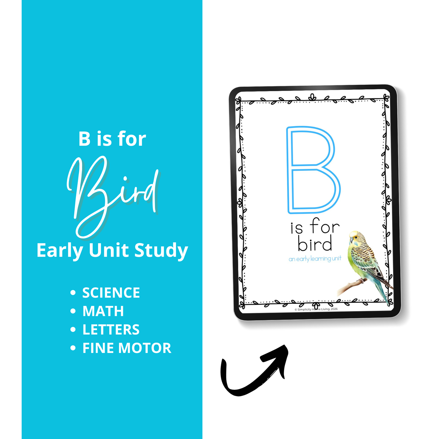 B Is for Bird Alphabet Unit Study | 77-Page Printable Early Learning Unit