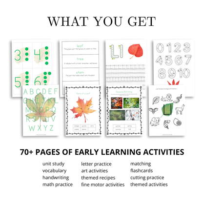 L is for Leaf | Alphabet Early Learning Unit Study | Pre-K Activities
