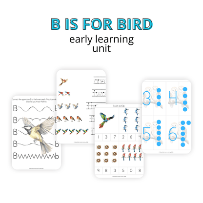 B Is for Bird Alphabet Unit Study | 77-Page Printable Early Learning Unit - Simplicity Home Living