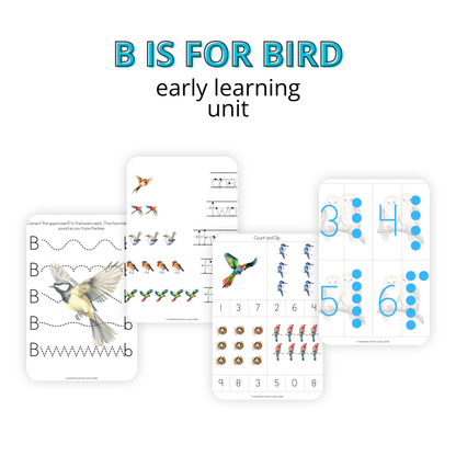 B Is for Bird Alphabet Unit Study | 77-Page Printable Early Learning Unit
