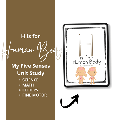 H Is for Human Body Alphabet Unit Study | 70+ Page Preschool Printable - Simplicity Home Living