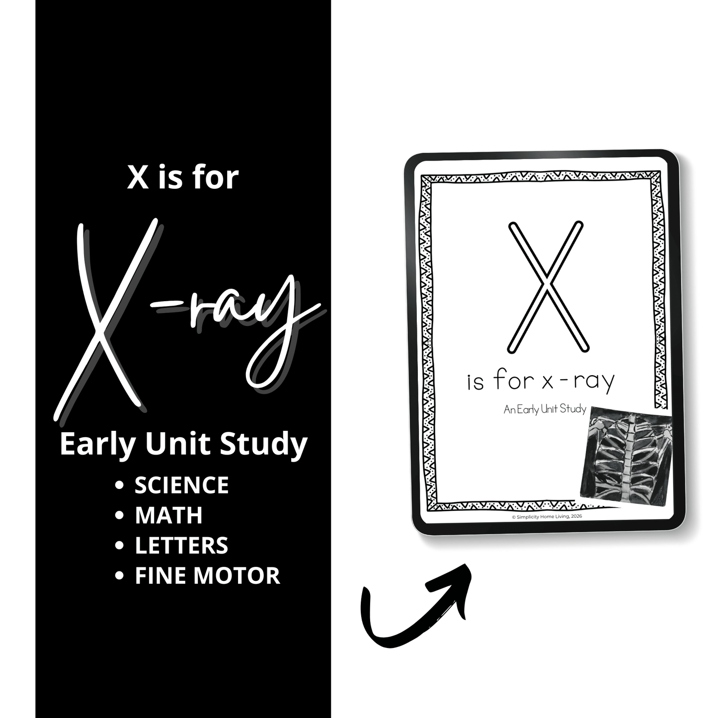 X is for X-Ray Alphabet Unit Study | Preschool Bones, Skeleton & Human Body Printable - Simplicity Home Living